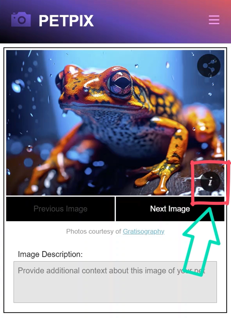 The demo pet photo sharing application Petpix with 'details' button that doesn't do anything