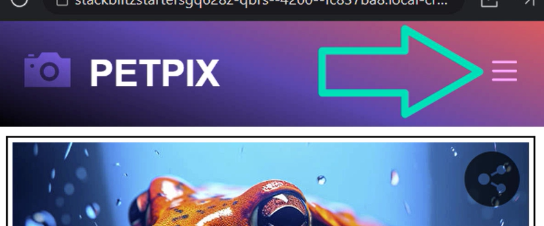 Pointing out the hamburger menu button in the header of the Petpix application