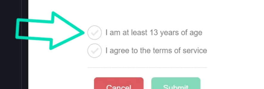 Example of the custom checkbox style used in the demo application