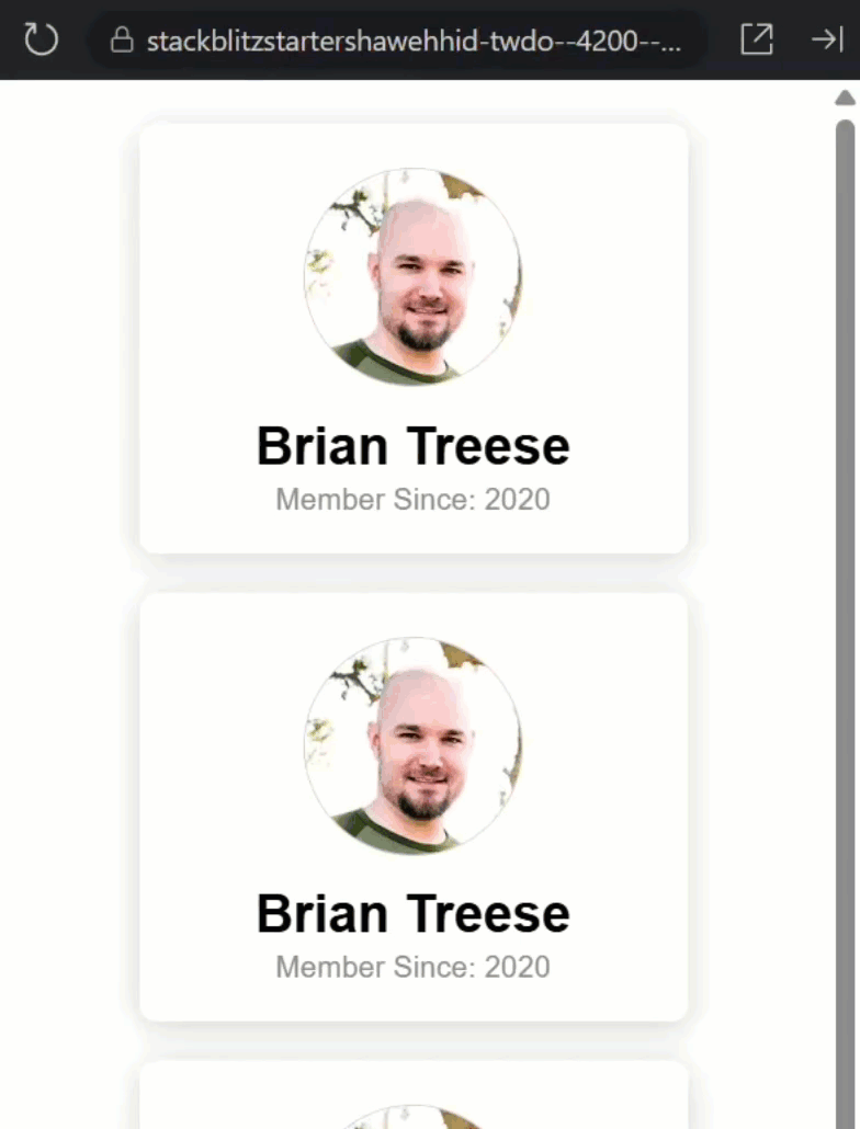 Example of a list of mostly blank profile cards before content loads after a delay