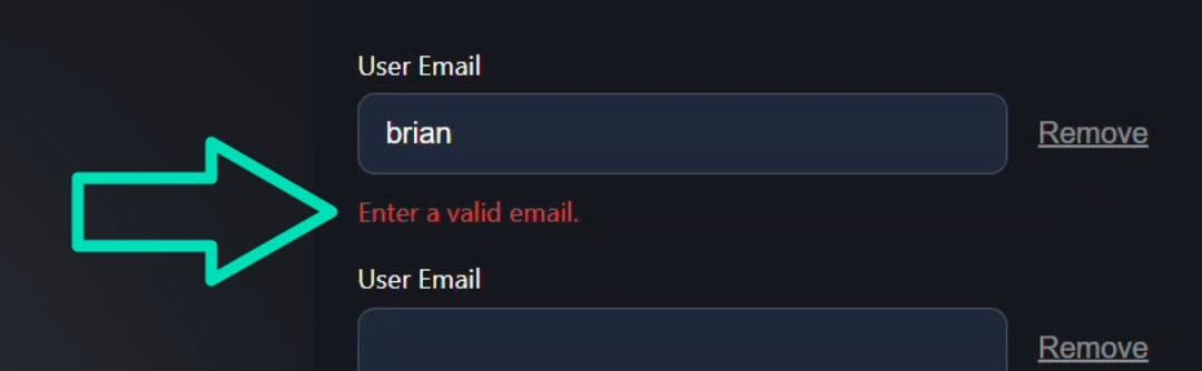 The dynamic form with the validation message showing when the email field is invalid