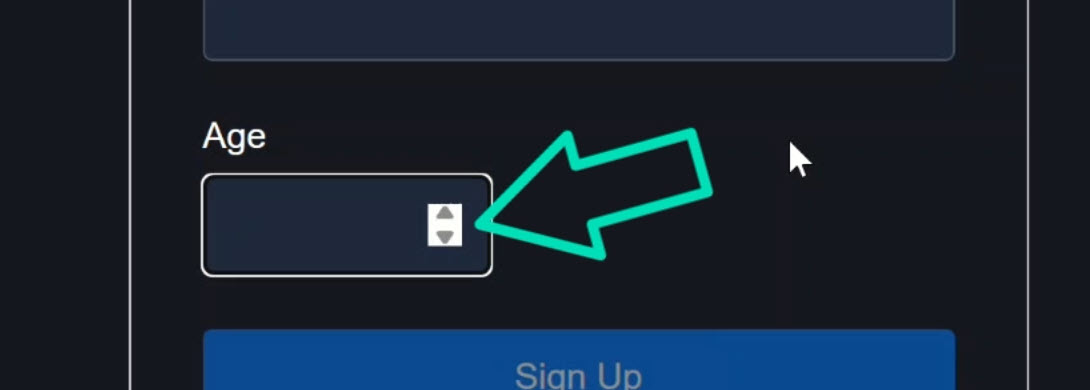 The number input with a spinner control
